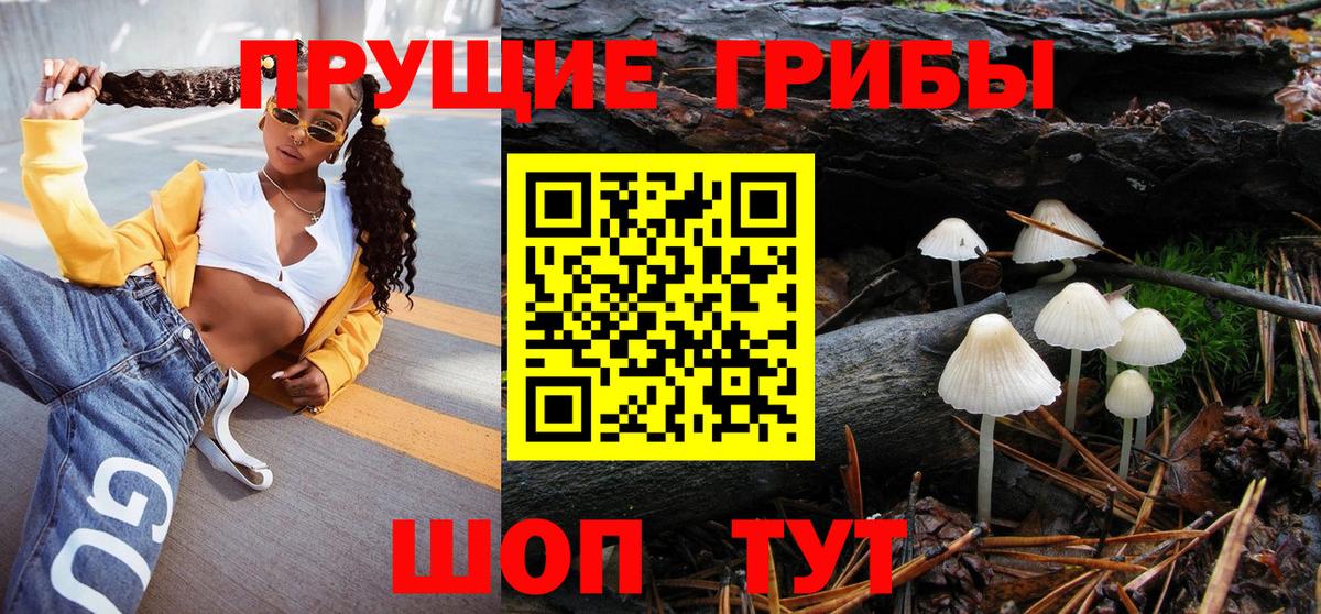 Семёнов  Галлюциногенные грибы Psilocybine cubensis  Псилоцибиновые грибы мухоморы  Вход с VPN 